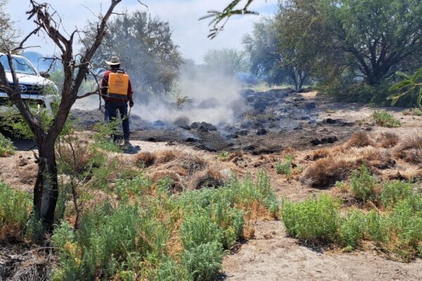 GOBIERNO ESTATAL MANTIENE COMBATE A INCENDIOS FORESTALES